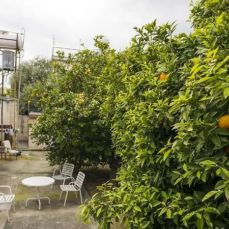Trip Yard Camping Limassol