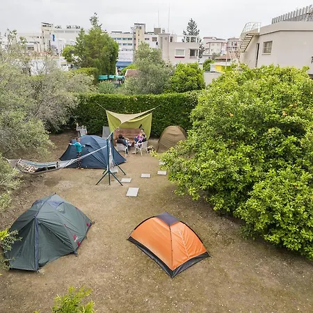 Camping Trip Yard 2*