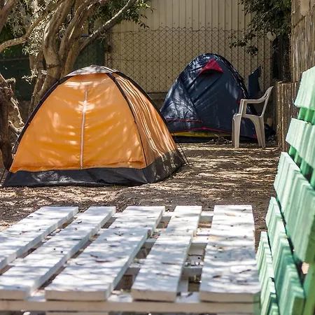 Camping Trip Yard
