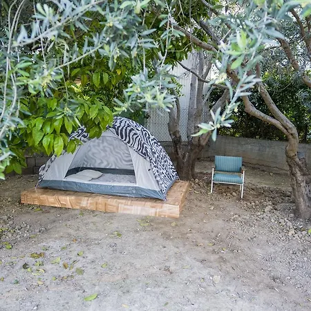 Campsite Trip Yard Limassol