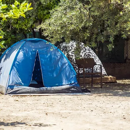 Trip Yard Campsite Limassol